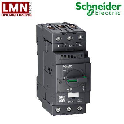 GV3L80-schneider-cb-3-cuc-gv3l-80a-45kw-100ka